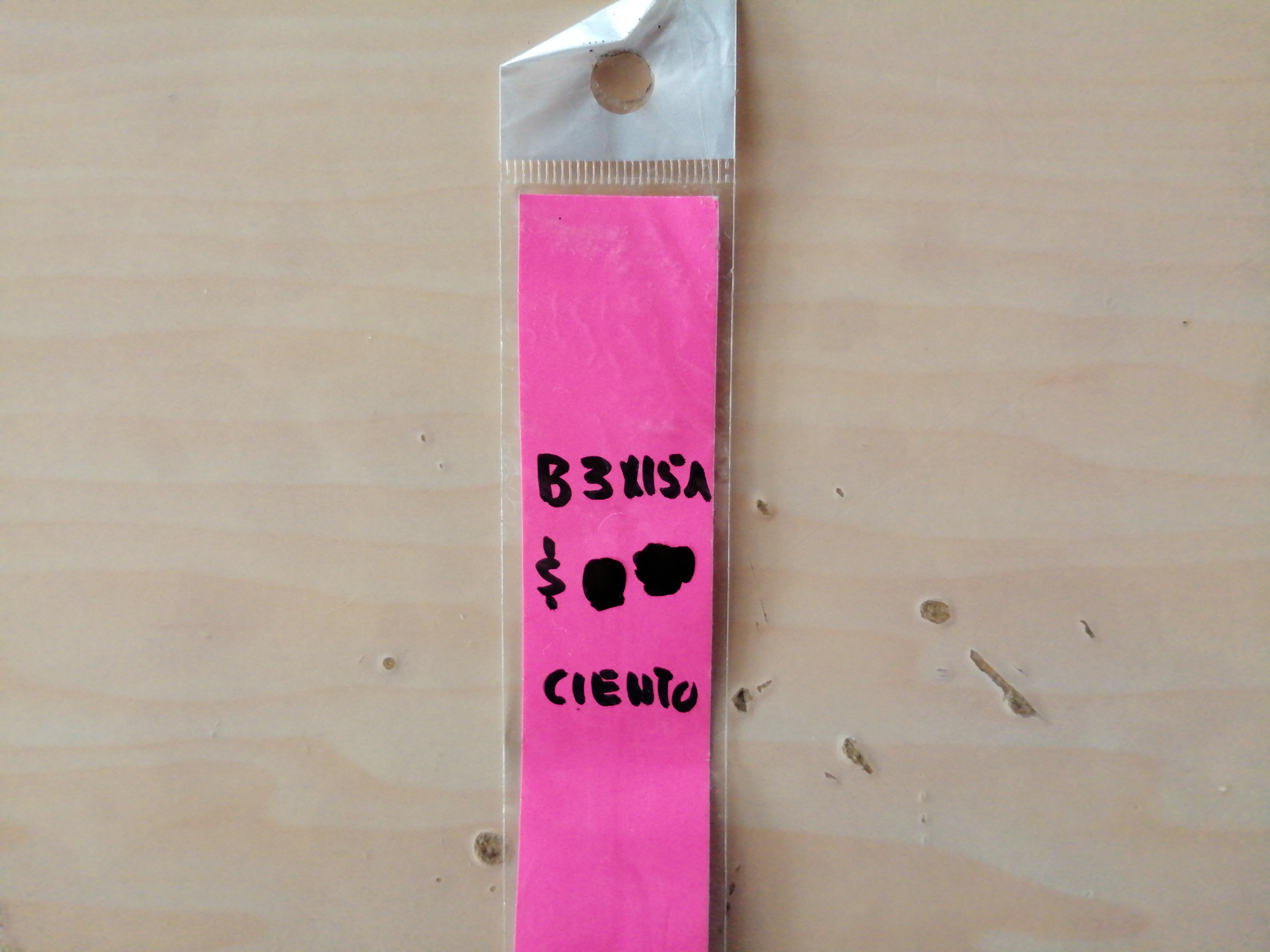 3X15CIENBOLSA DE CELOFAN 3x15 27014 $15.00