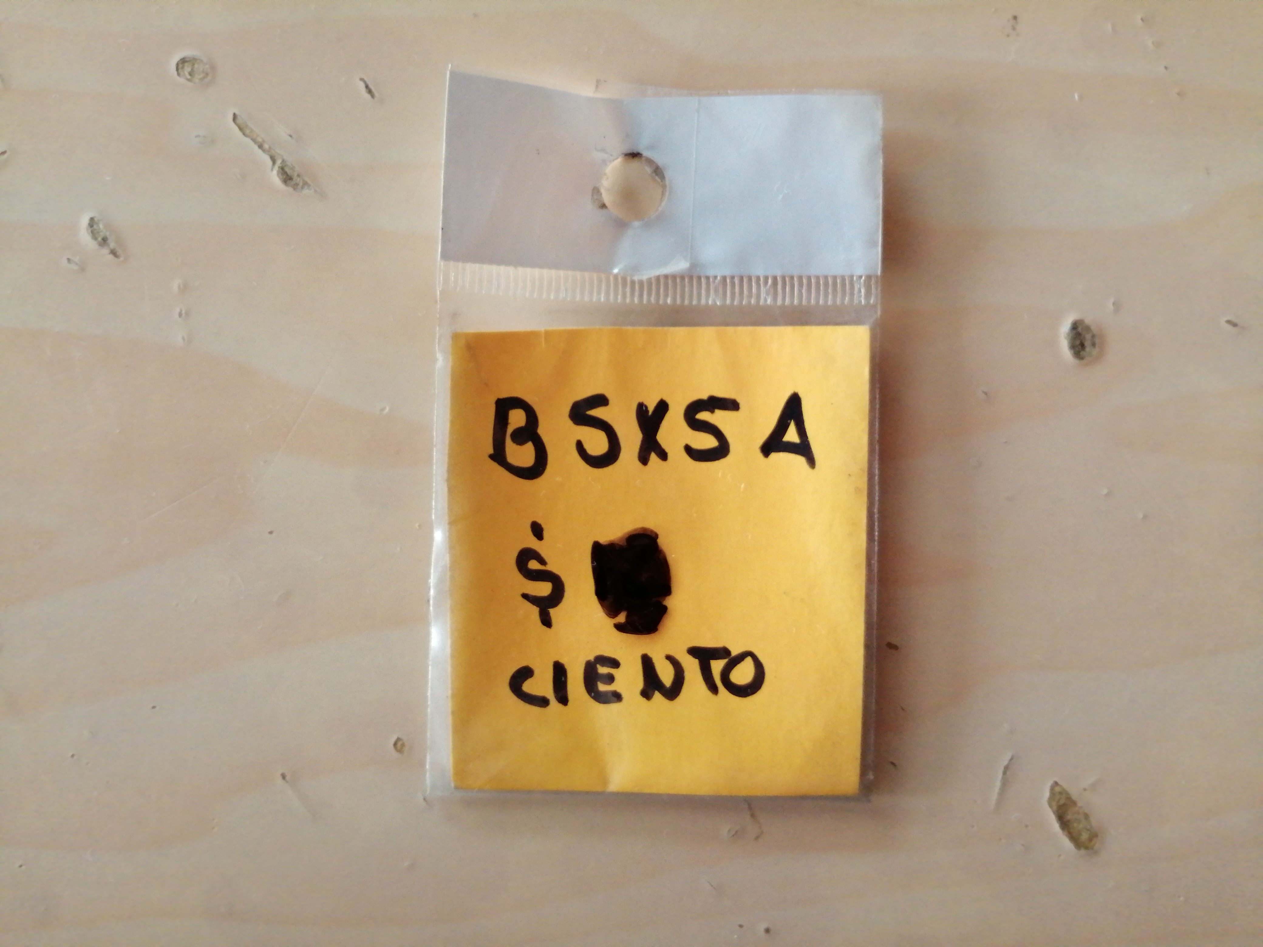 5X5 CIENBOLSA DE CELOFAN 27002