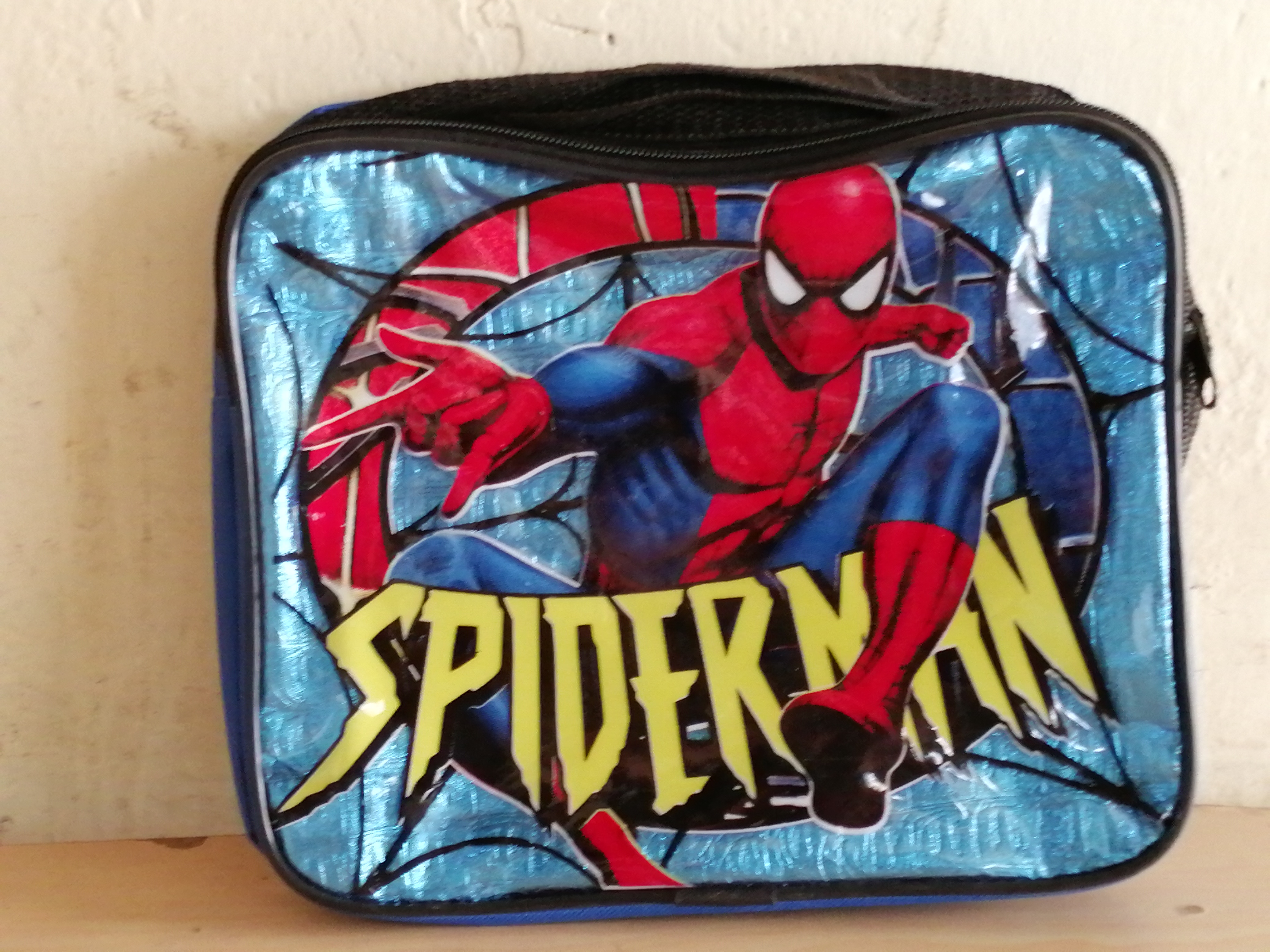 LONCHERA CON CIERRE HAY EN POLIESTER Y HAY EN TRANSPARENTE.