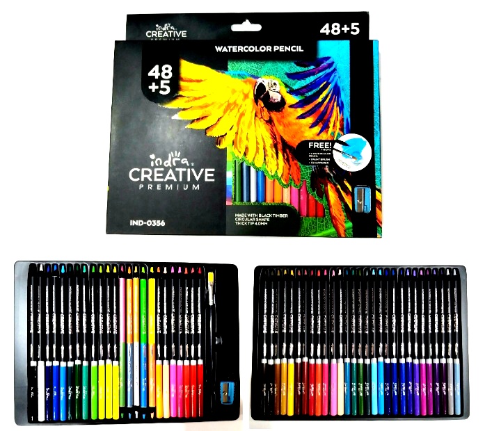 IND0356C COLOR ACUAREABLE48+5 COLOR CREATIVE $400.00