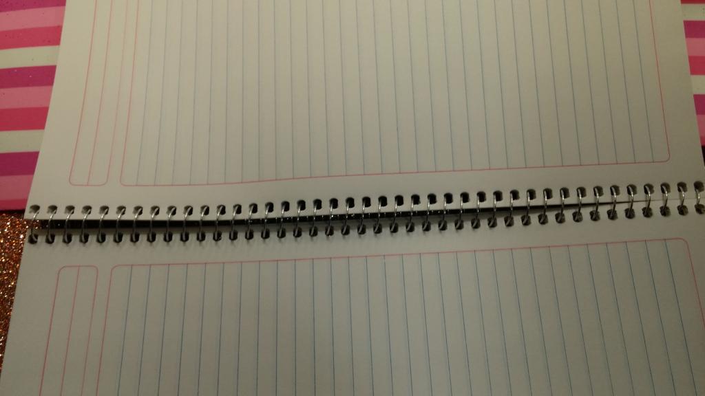 CAJA 36 CUADERNO PROFESIONAL DE ESPIRAL 100 HOJAS MARCA ESTRELLA.