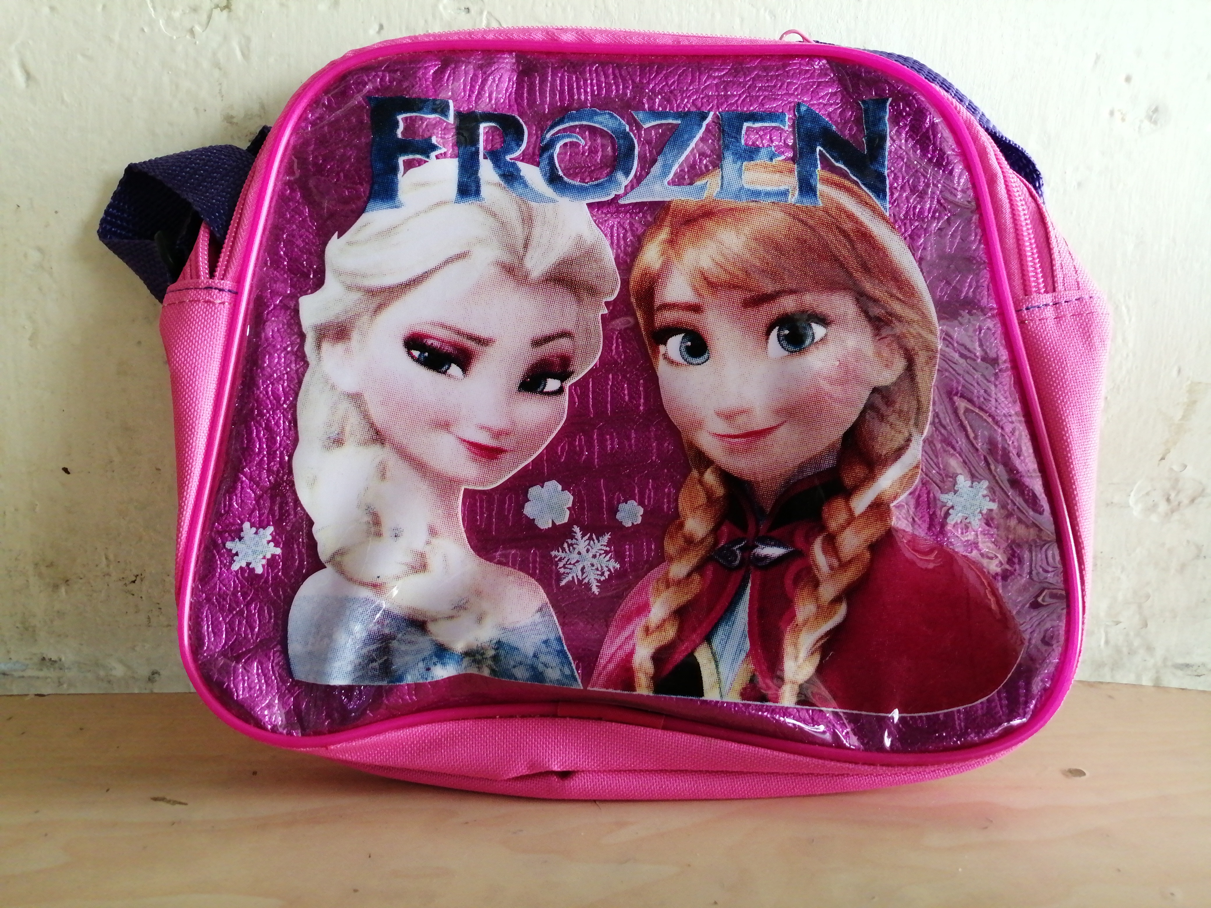 LONCHERA CON CIERRE HAY EN POLIESTER Y HAY EN TRANSPARENTE.