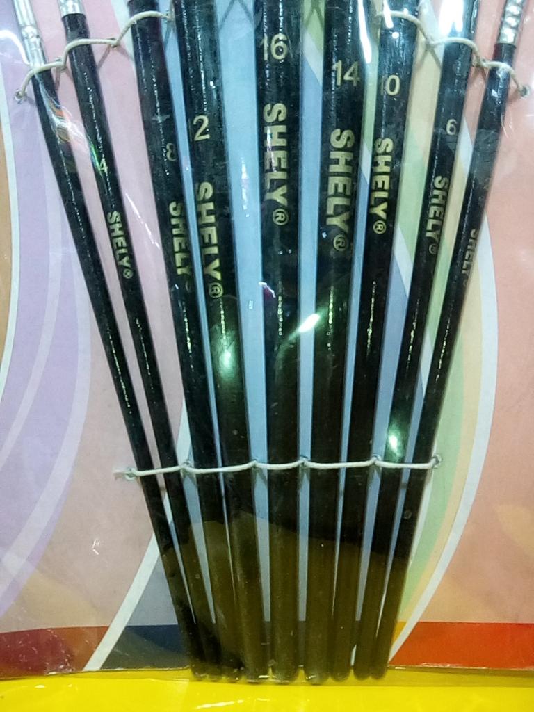 9 PINCELES MODELO 577 SHELY 40078 $77.00