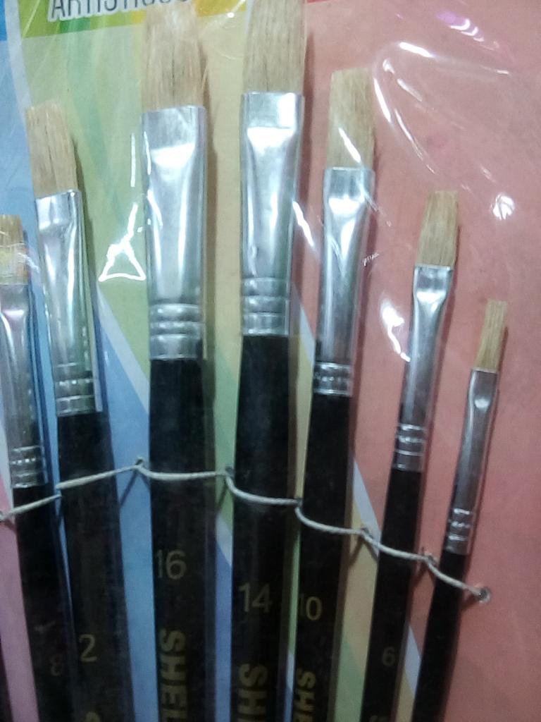 9 PINCELES MODELO 577 SHELY 40078 $77.00