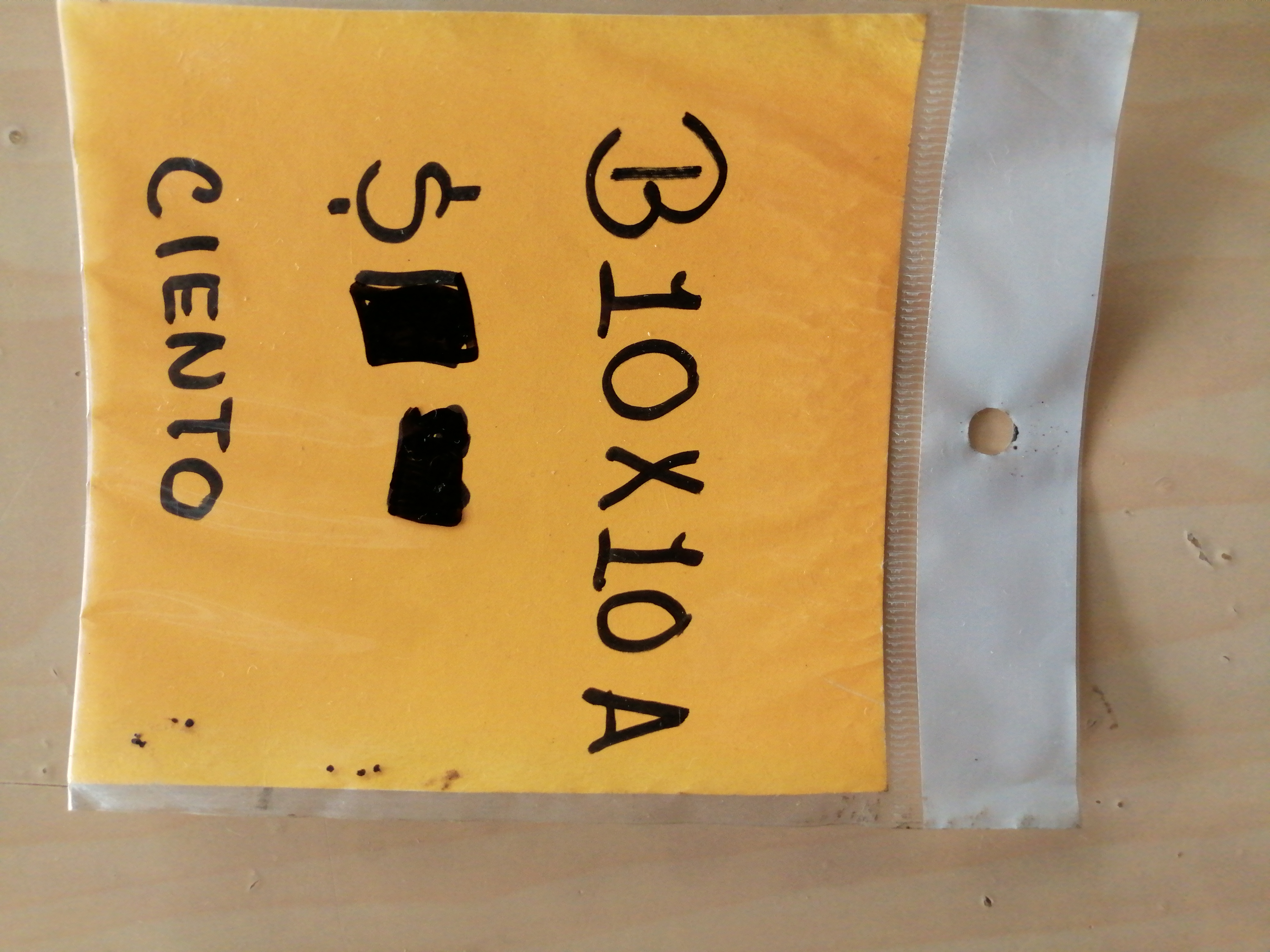 10X10CIENBOLSA DE CELOFAN 10X10 27011