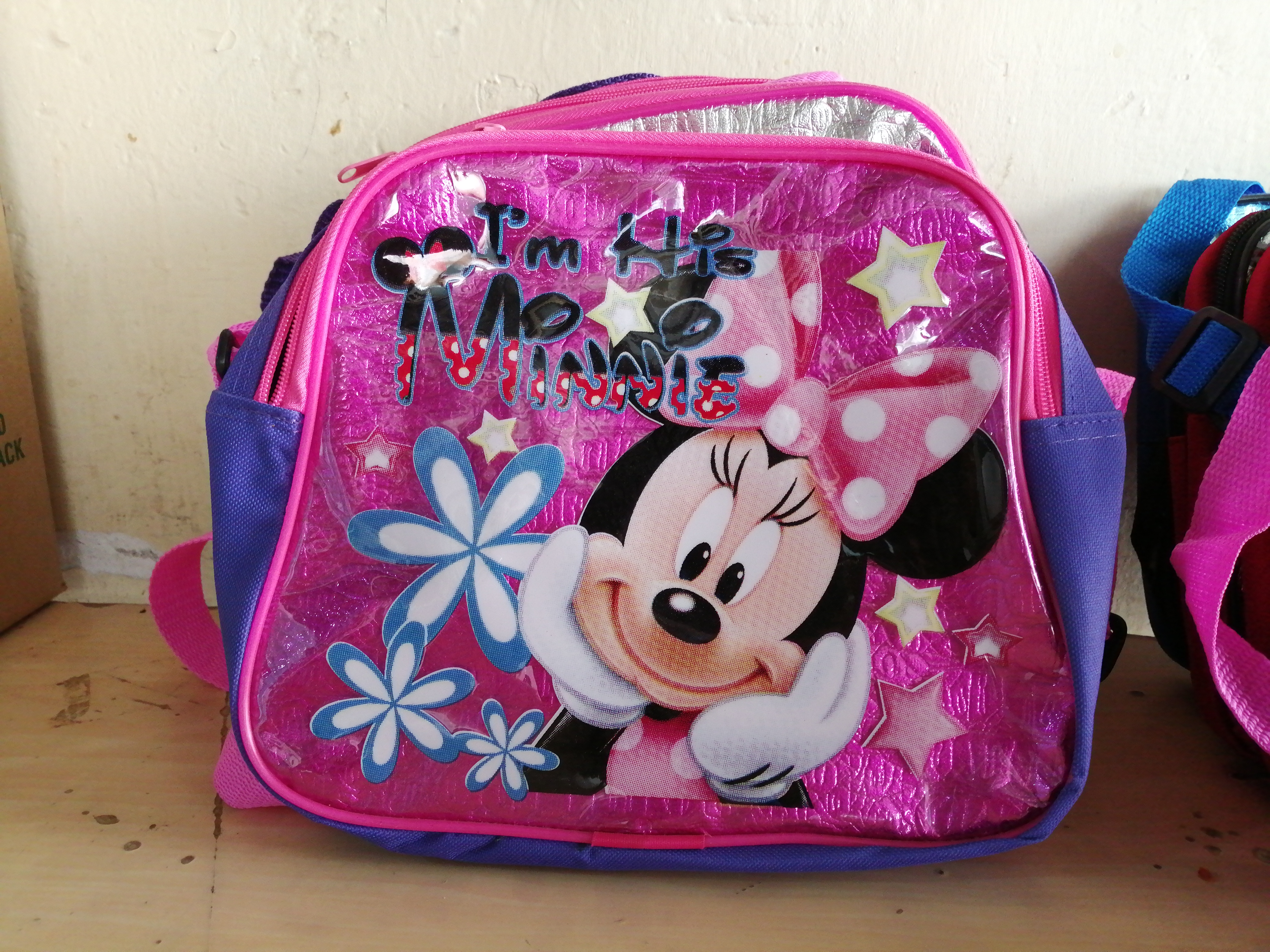 LONCHERA CON CIERRE HAY EN POLIESTER Y HAY EN TRANSPARENTE.