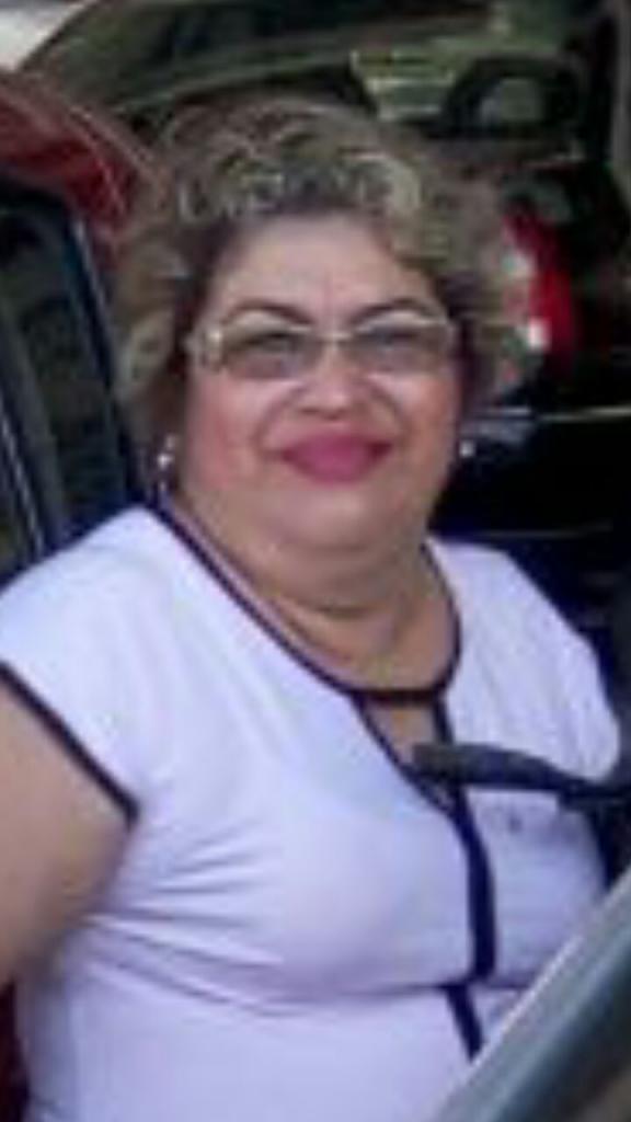 GL501 CAJA 12 PLUMA GEL TINTA N. A. R.