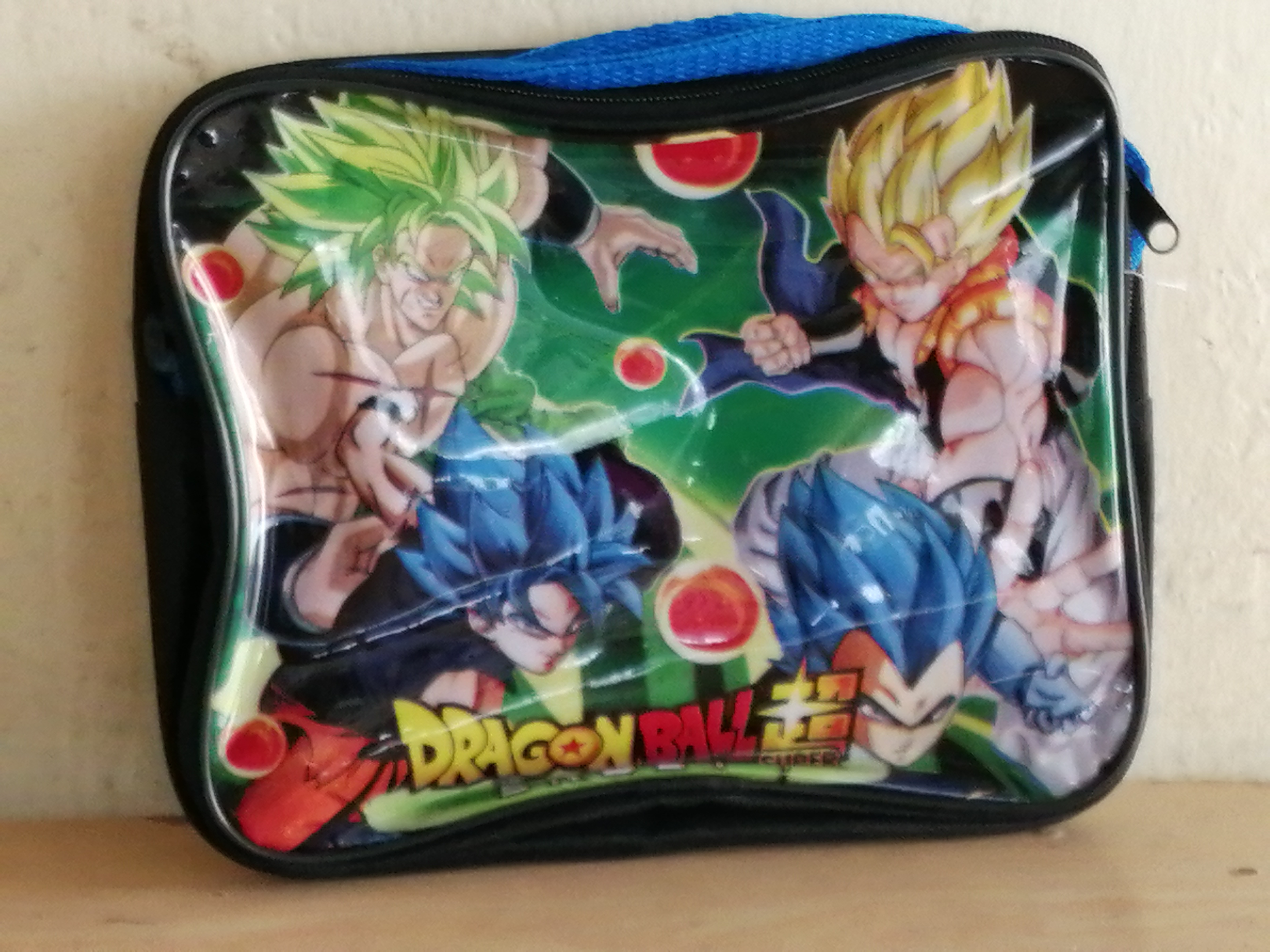 LONCHERA CON CIERRE HAY EN POLIESTER Y HAY EN TRANSPARENTE.