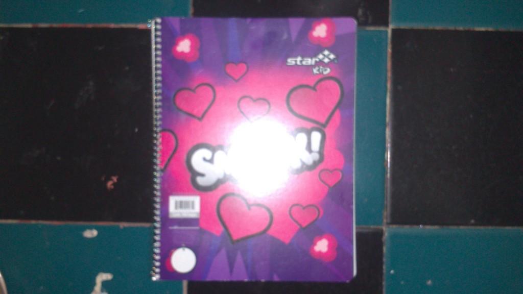 CAJA 36 CUADERNO PROFESIONAL DE ESPIRAL 100 HOJAS MARCA ESTRELLA.