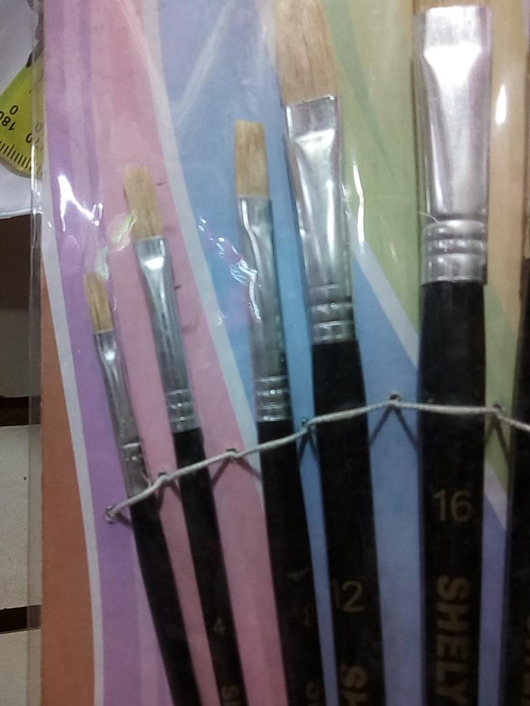 9 PINCELES MODELO 577 SHELY 40078 $77.00