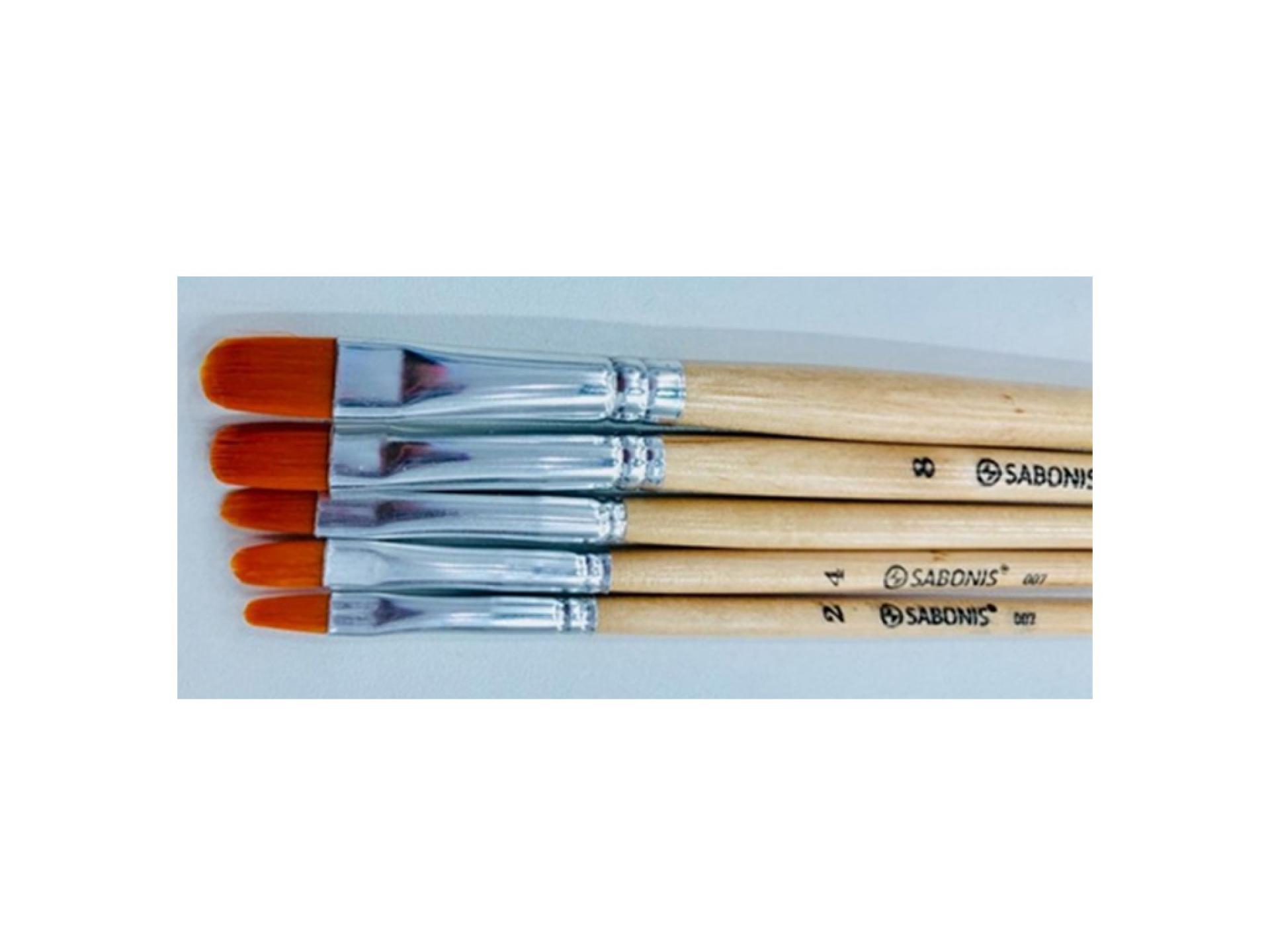 007-2 CAJA CON 12 PINCEL LENGUA DE GATO #2