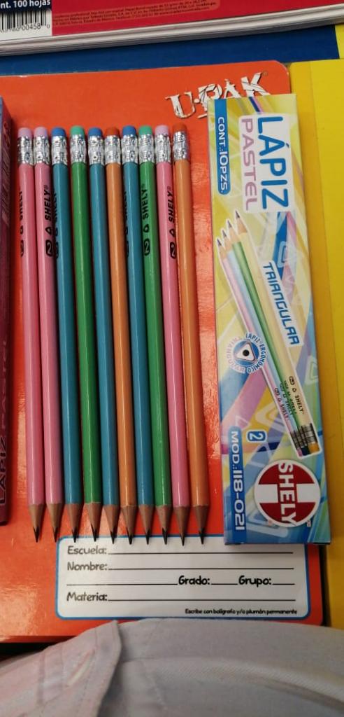 CAJA 8 LAPIZ PASTEL SHELY