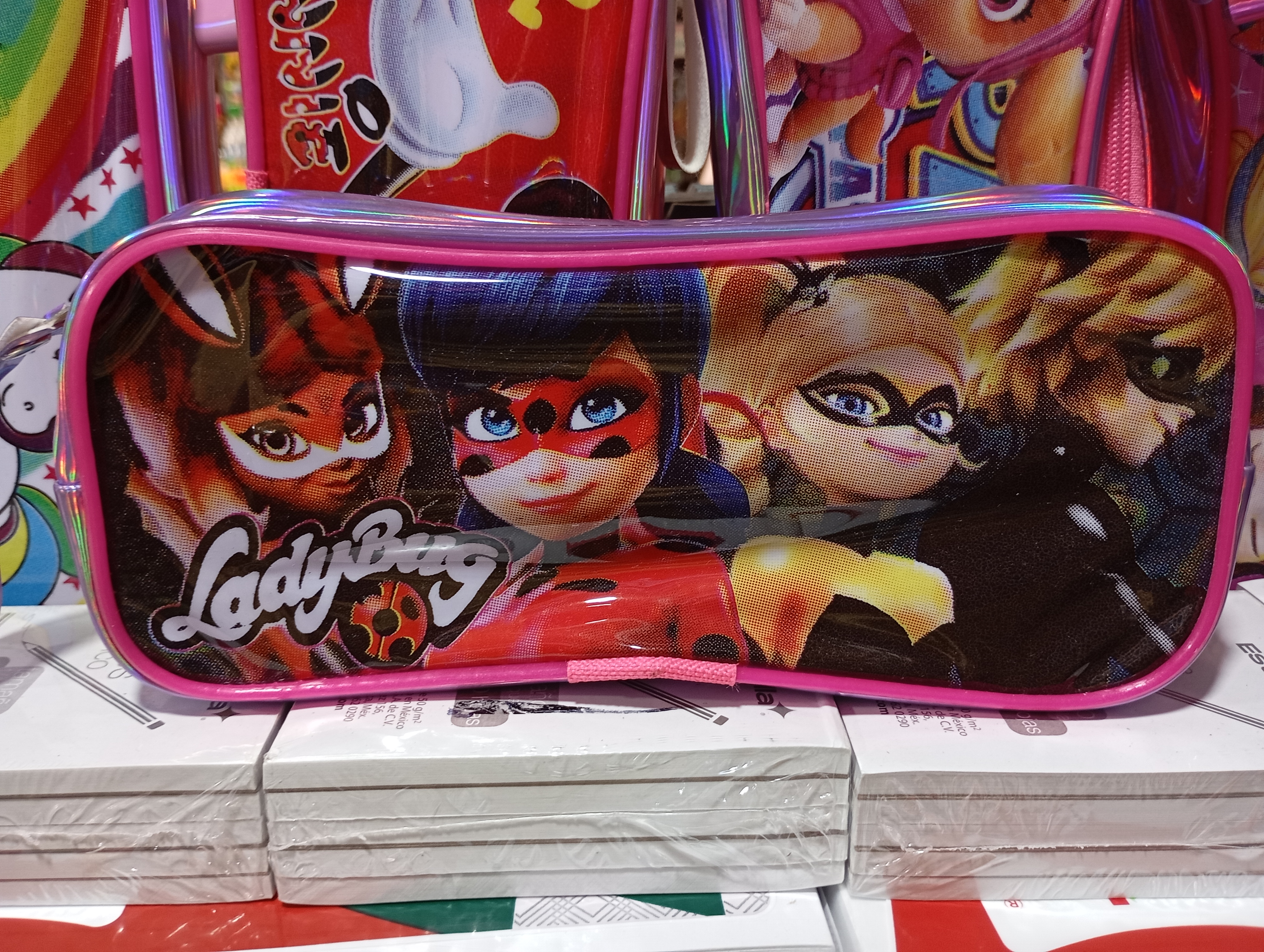 LAPICERA FABRICADA CON UN CIERRE