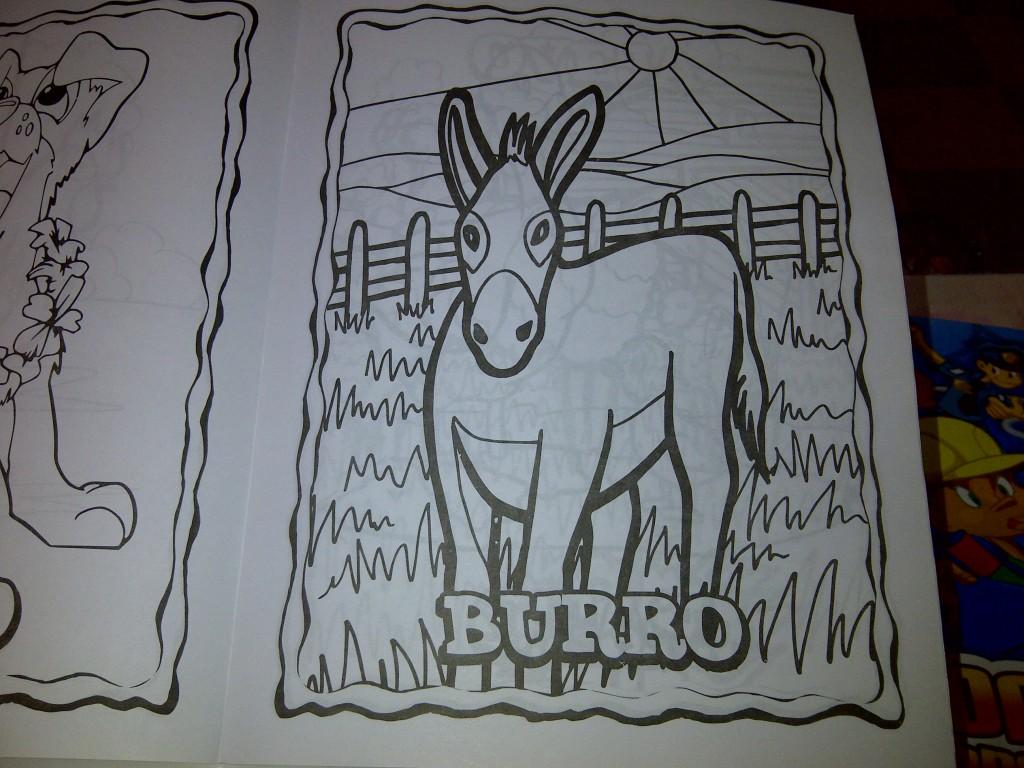 LIBRO DE ILUMINAR CHICO