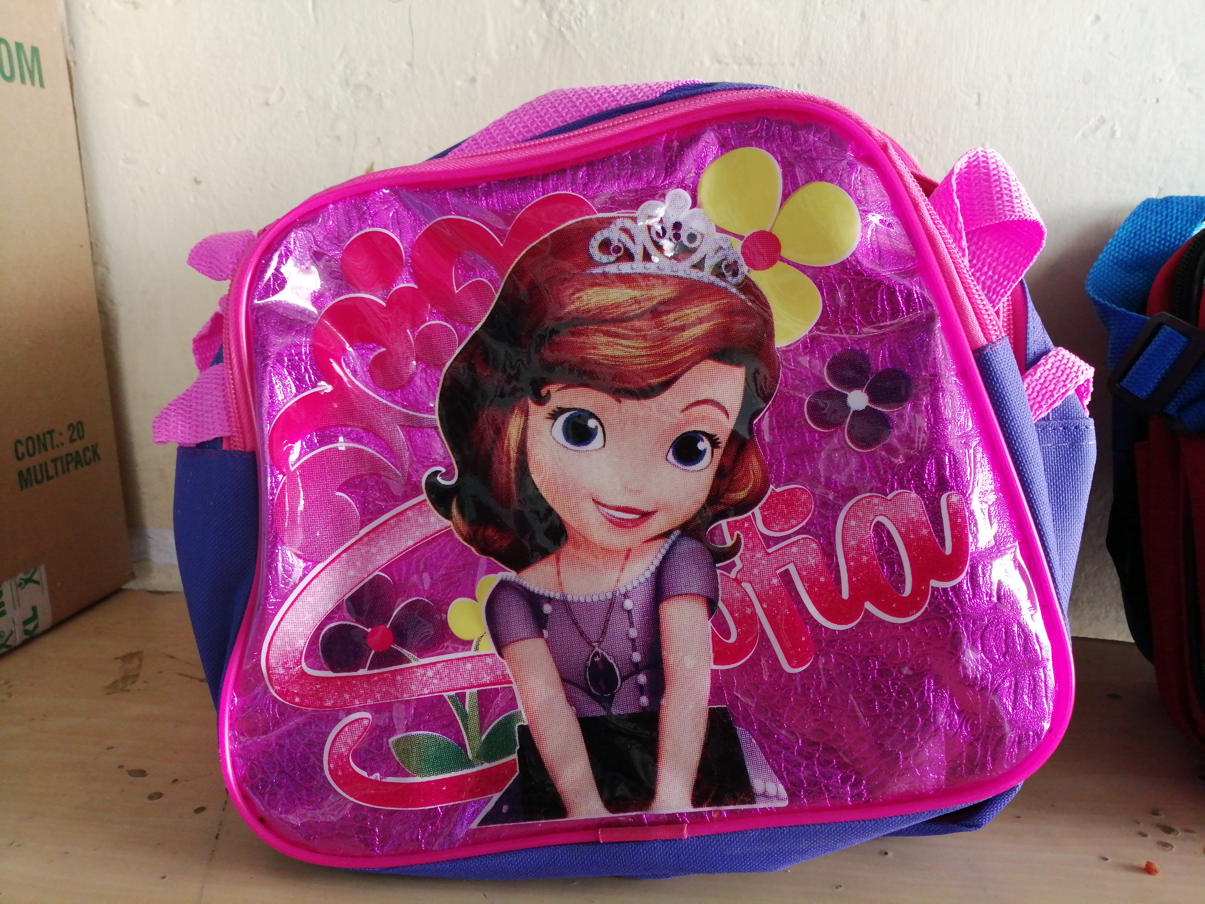 LONCHERA CON CIERRE HAY EN POLIESTER Y HAY EN TRANSPARENTE.